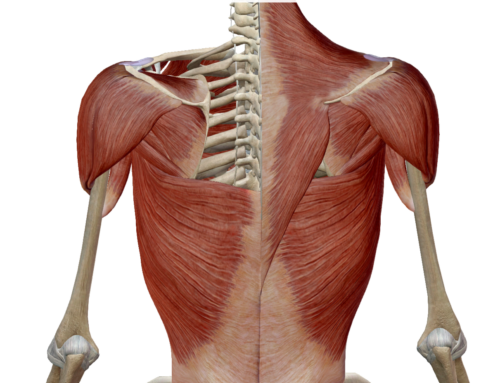 Tendinitis del supraespinoso: 3 ejercicios prohibidos y qué hacer en su lugar